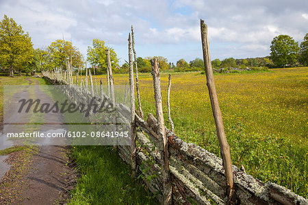 Dirt track along wooden fence