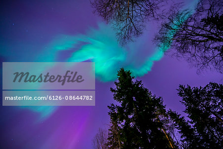 Finland, Pohjois-Pohjanmaa, Oulu, Aurora borealis