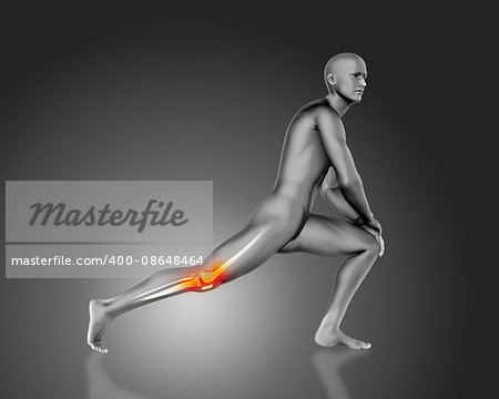 3D medical male figure in stretching pose with knee bone highlighted