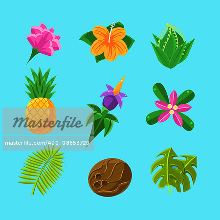 Tropical Plants And Fruits Set In Simple Realistic Cartoon Flat Vector Design Isolated On Blue Background