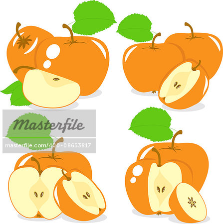 Orange color apples slices, collection of vector illustrations on a transparent background