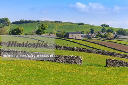 Typical spring landscape of village, cattle, fields, dry stone walls and hills, May, Litton, Peak District, Derbyshire, England, United Kingdom, Europe Typical spring landscape of village, cattle, fields, dry stone walls and hills, May, Litton, Peak District, Derbyshire, England, United Kingdom, Europe
