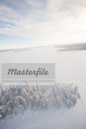 Sweden, Lappland, Jokkmokk, Trees and frozen lake in winter