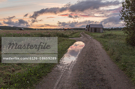 Sweden, Vasterbotten, Umea, Roback, Dirt road at sunset