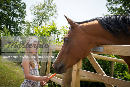 Sweden, Skane, Girl (8-9) feeding horse with carrot