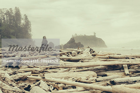 View of coastline from Ruby Beach, piles of driftwood in foreground.