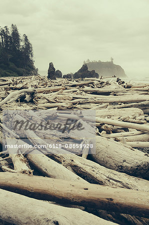 View of coastline from Ruby Beach, piles of driftwood in the foreground. Olympic National park.