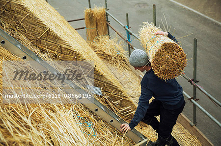 Thatcher carrying a yelm of straw up a roof.