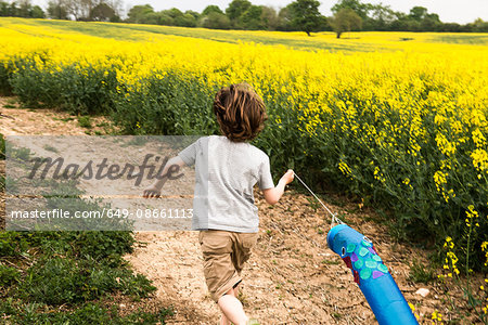 Rear view of boy running along yellow flower field track pulling fish kite