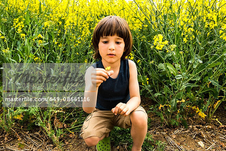 Boy crouching looking at yellow flower from field