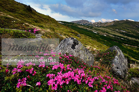 Chornogora Ridge Landscape, Carpathian Mountains, Ivano-Frankovsk Region, Ukraine