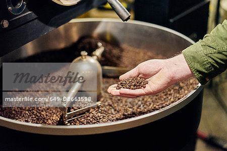 Man's hand holding coffee beans from roaster