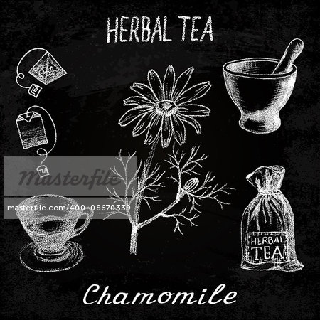 Chamomile herbal tea. Chalk board set of vector elements on the basis hand pencil drawings. Herb chamomile, tea bag, mortar and pestle, textile bag, cup. For labeling, packaging, printed products