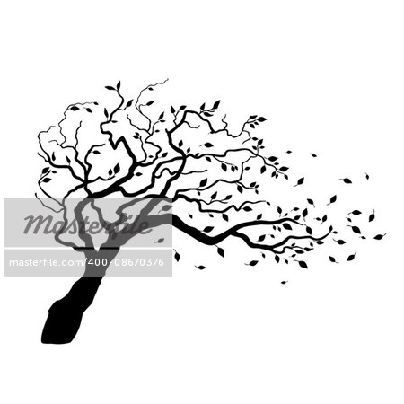 Vector Tree Silhouette Isolated on White Backgorund.