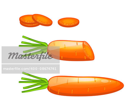 orange carrot infographics elements with slices vector