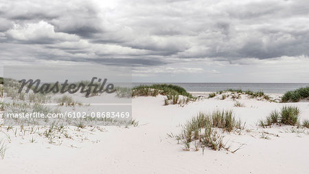 Sand dunes at sea