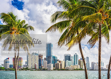 Miami, Florida, USA tropical downtown skyline.