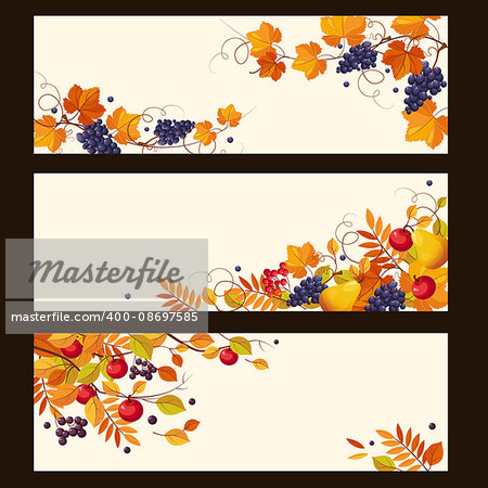 Banners with autumn elements, leaves and ripe berries, colorful vector illustration