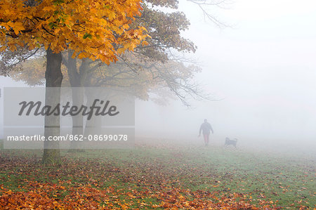 England, Halifax. A man walking his dog on a foggy autumn day.