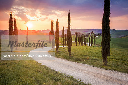 Valdorcia, Siena, Tuscany, Italy. Couple walking on a road of cypresses to a farm with a stormy sunset in the background.