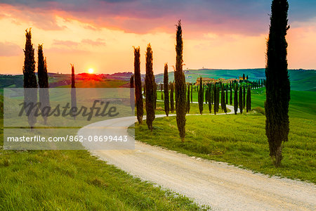 Valdorcia, Siena, Tuscany, Italy. Road of cypresses leading to a farmhouse with a stormy sunset in the background.