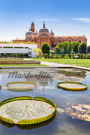 Italy, Italia. Veneto. Padova district. Padua, Padova. Botanical Garden with Monastero di Santa Giustina in the background.