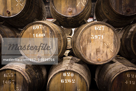 Portugal, Douro Litoral, Porto. Barrels in the wine cellar of Taylor's Port Lodge.