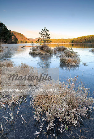 Scotland, Aviemore. Frozen Loch an Eilein on the Rothiemurchus Estate in winter.