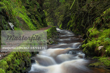 Scotland, Argyll and Bute. Dunoon. The stream flowing through Pucks Glen near Dunoon.