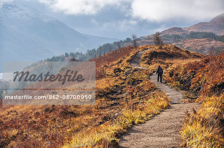 Scotland, Highland, Glenfinnan. Hiking near Glenfinnan in the autumn. MR