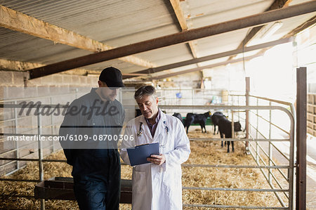Vet explaining farmer by fence in barn