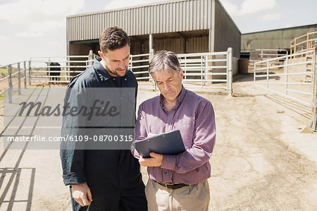 Farm worker and vet looking in clipboard against barn on sunny day