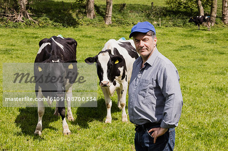 Portrait of confident farmer standing by cows on grassy field