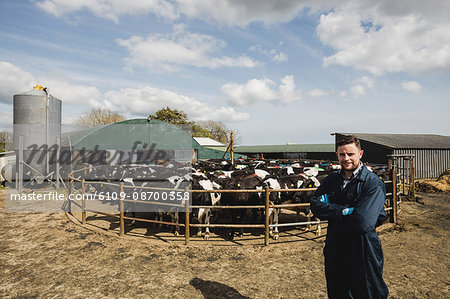 Portrait of confident farm worker standing against cows at barn