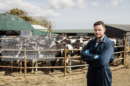 Portrait of farm worker standing against cows by fence