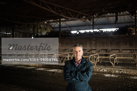 Portrait of confident farm worker standing with arms crossed in barn