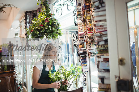Female florist arranging flower in the flower shop