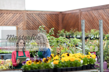 Two female florist using digital tablet in garden centre