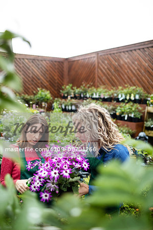 Two female florist pruning flowers with pruning shears in garden centre