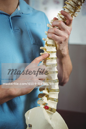 Mid section of physiotherapist pointing at spine model in the clinic