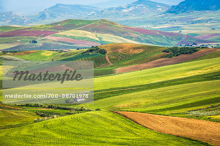 Overview of farmland with grassy fields and crops near Calatafimi-Segesta in the Province of Trapani in Sicily, Italy Overview of farmland with grassy fields and crops near Calatafimi-Segesta in the Province of Trapani in Sicily, Italy