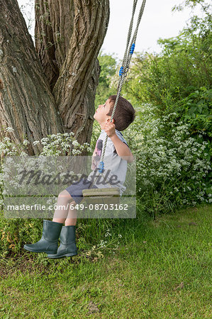 Boy on tree swing