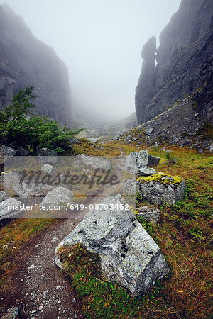 Misty path at Aku-Aku Ravine, Khibiny mountains, Kola Peninsula, Russia