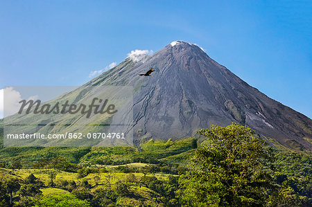 Costa Rica, Alajuela Province, Arenal.  Arenal Volcano with steam rising from its peak.  This active stratovolcano erupted last in 2010. A Turkey Vulture flies overhead.