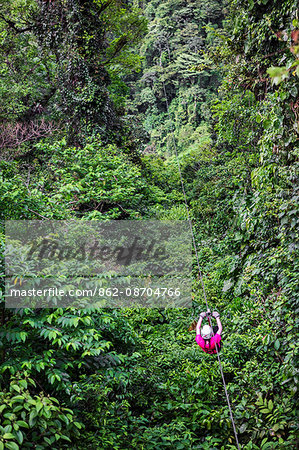 Costa Rica, Alajuela Province, La Fortuna, Arenal.  A woman on a zip line speeding through the forested slopes of Arenal Volcano.