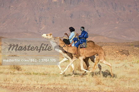 Niger, Agadez, Iferouane. Two Tuareg men race their camels sitting on traditional camel saddles with back rests.