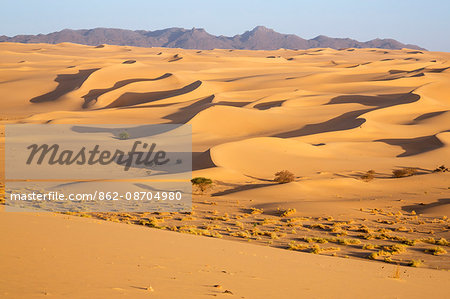 Niger, Agadez, Sahara Desert, Tenere. Sand dunes in the Tenere desert.