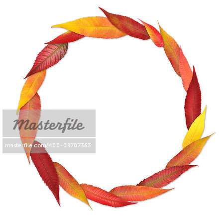 Simple circular frame from colored autumn leaves