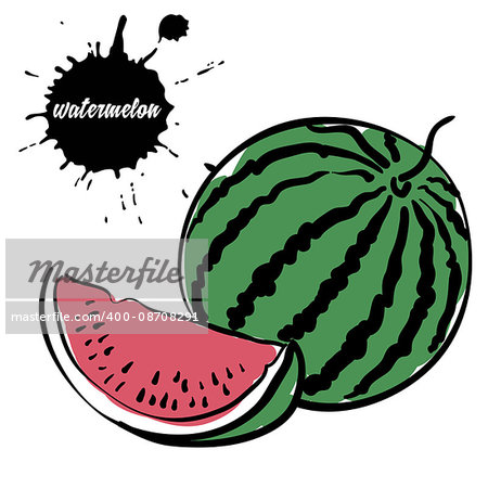 Isolated eco natural food berry juicy watermelon