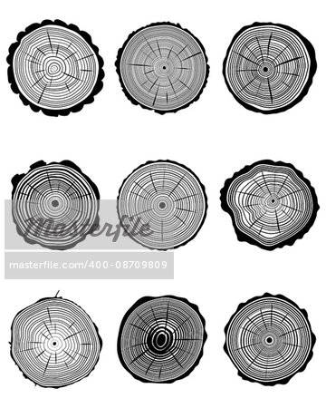 Set of cross section of trunks, vector illustration